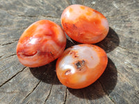 Polished Carnelian Palm Stones x 24 From Madagascar