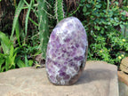 Polished Chevron Amethyst Standing Free Form x 1 From Ankazobe, Madagascar - Toprock Gemstones and Minerals 