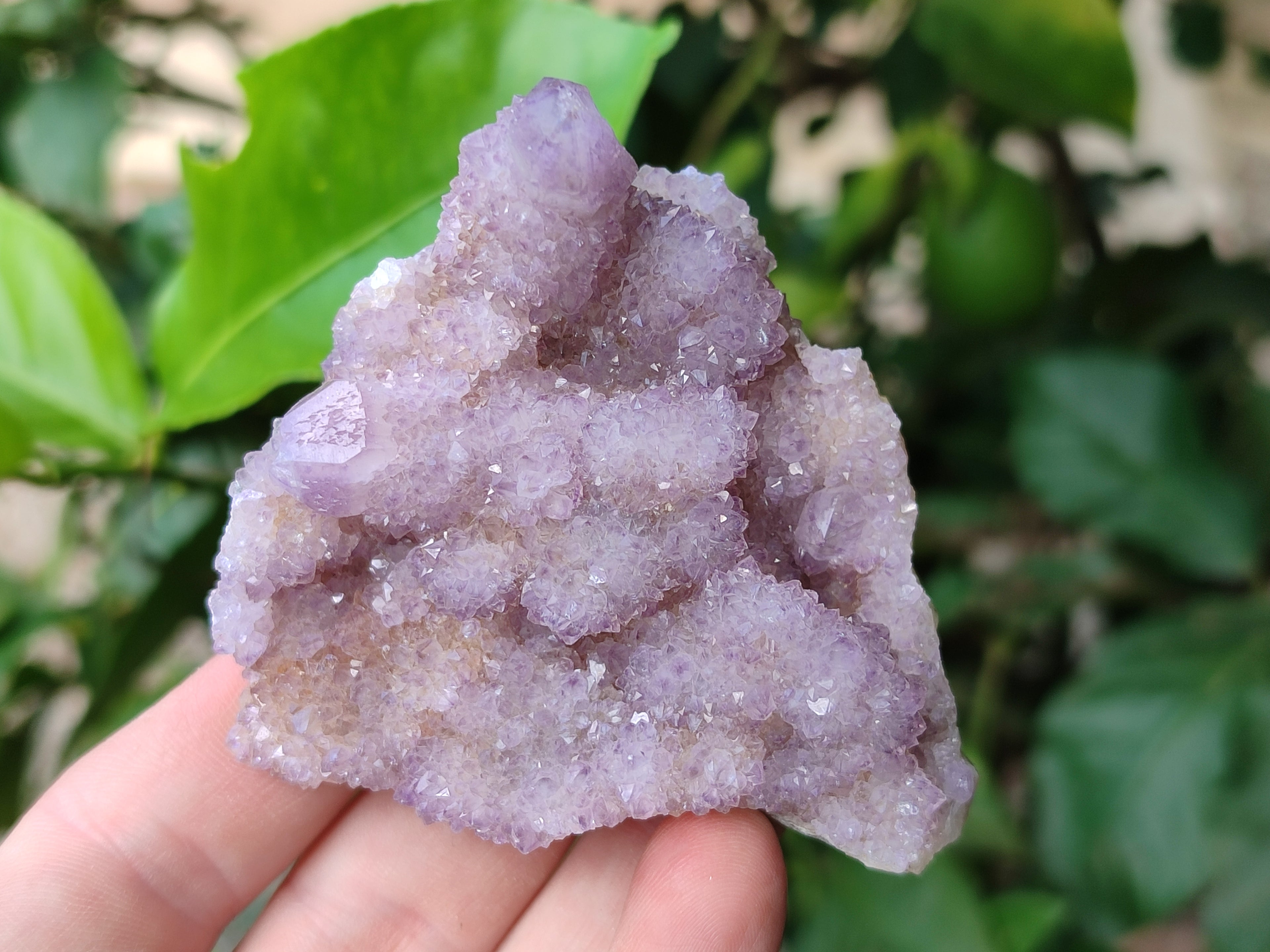 Natural Amethyst Spirit Quartz Clusters x 6 From Boekenhouthoek, South Africa - Toprock Gemstones and Minerals 