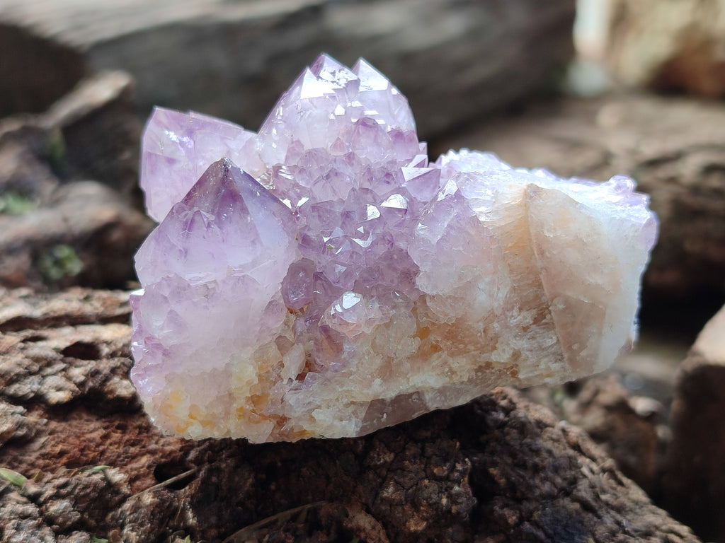 Natural Amethyst Spirit Quartz Clusters x 6 From Boekenhouthoek, South Africa - Toprock Gemstones and Minerals 
