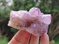 Natural Amethyst Spirit Quartz Clusters x 6 From Boekenhouthoek, South Africa