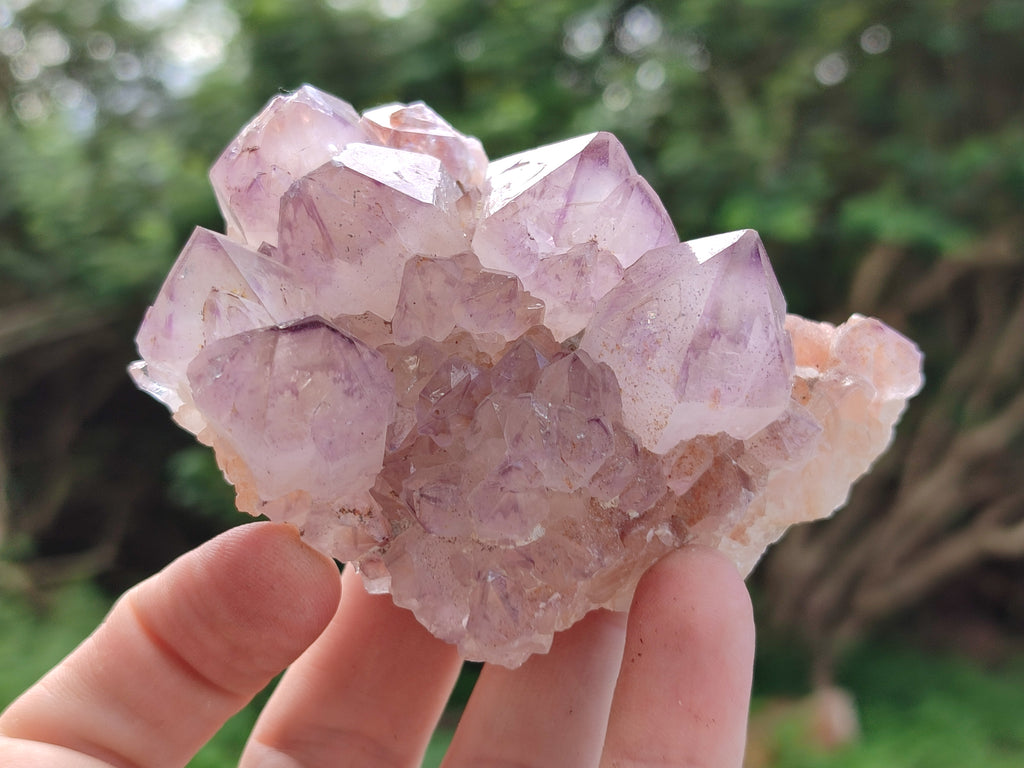 Natural Amethyst Spirit Quartz Clusters x 6 From Boekenhouthoek, South Africa - Toprock Gemstones and Minerals 