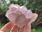 Natural Amethyst Spirit Quartz Clusters x 6 From Boekenhouthoek, South Africa - Toprock Gemstones and Minerals 