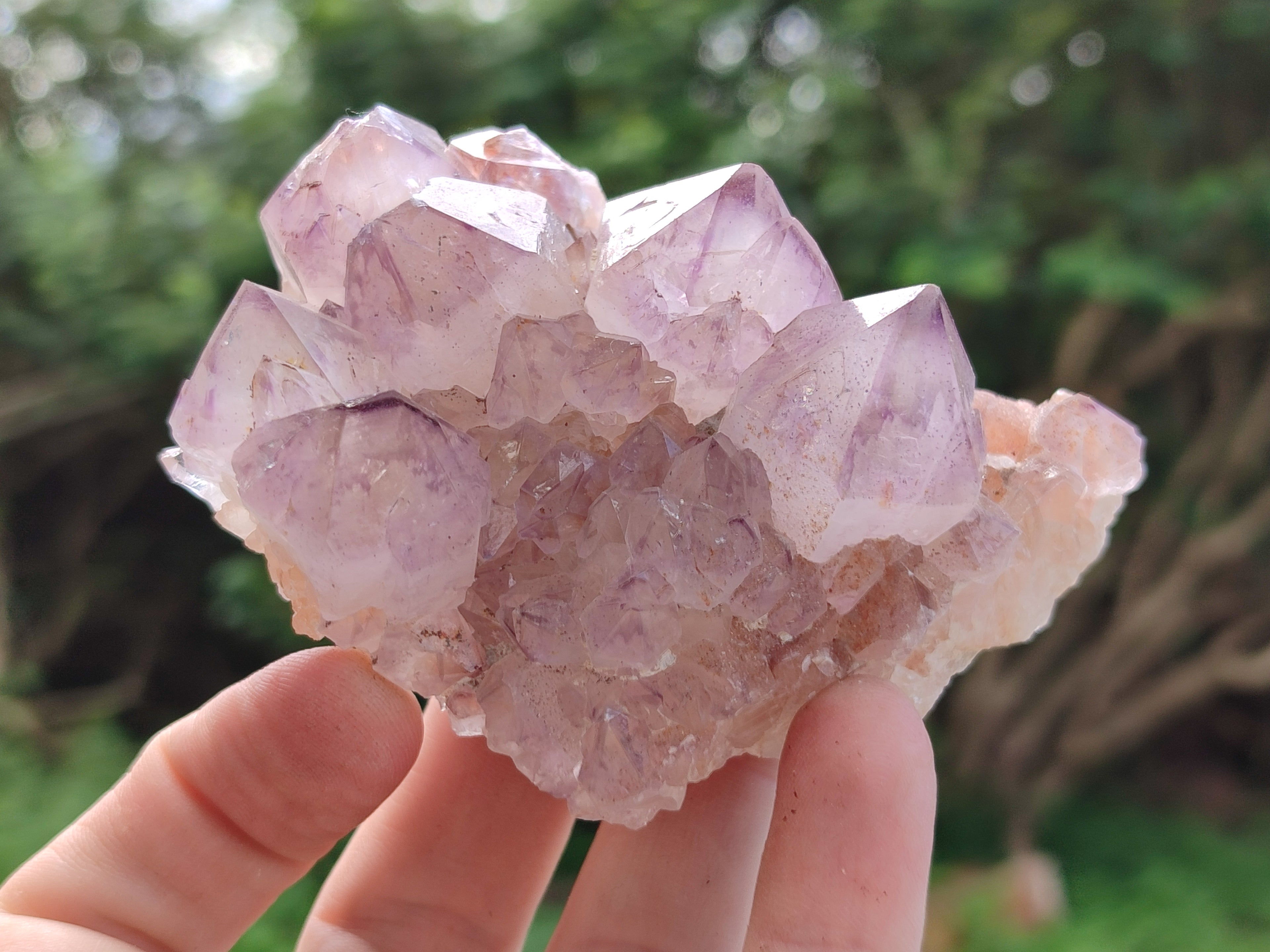Natural Amethyst Spirit Quartz Clusters x 6 From Boekenhouthoek, South Africa - Toprock Gemstones and Minerals 