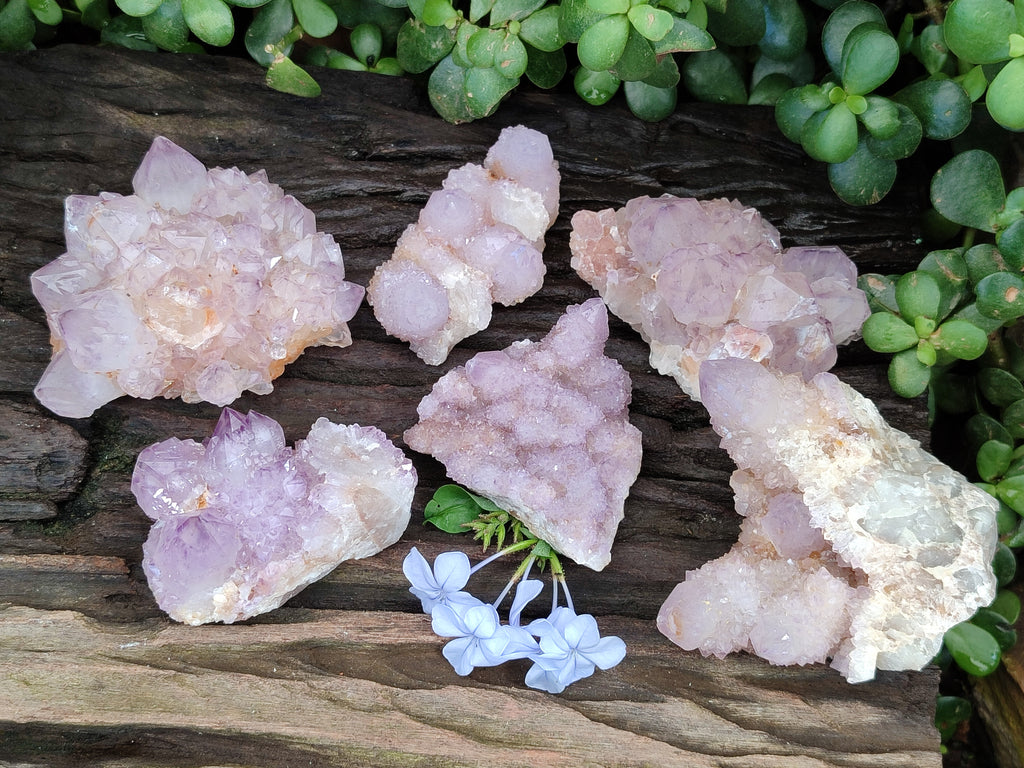 Natural Amethyst Spirit Quartz Clusters x 6 From Boekenhouthoek, South Africa - Toprock Gemstones and Minerals 