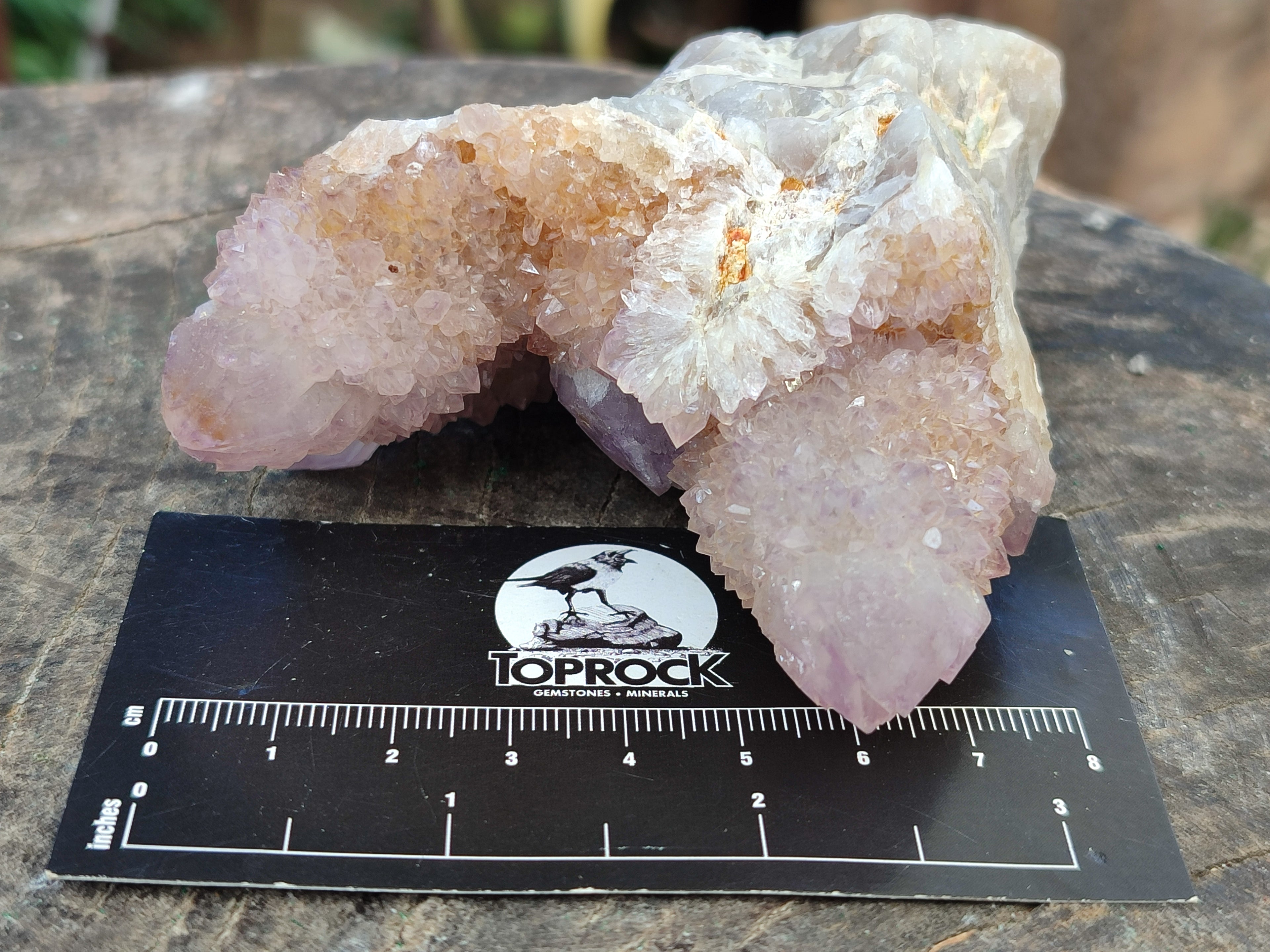 Natural Amethyst Spirit Quartz Clusters x 6 From Boekenhouthoek, South Africa - Toprock Gemstones and Minerals 