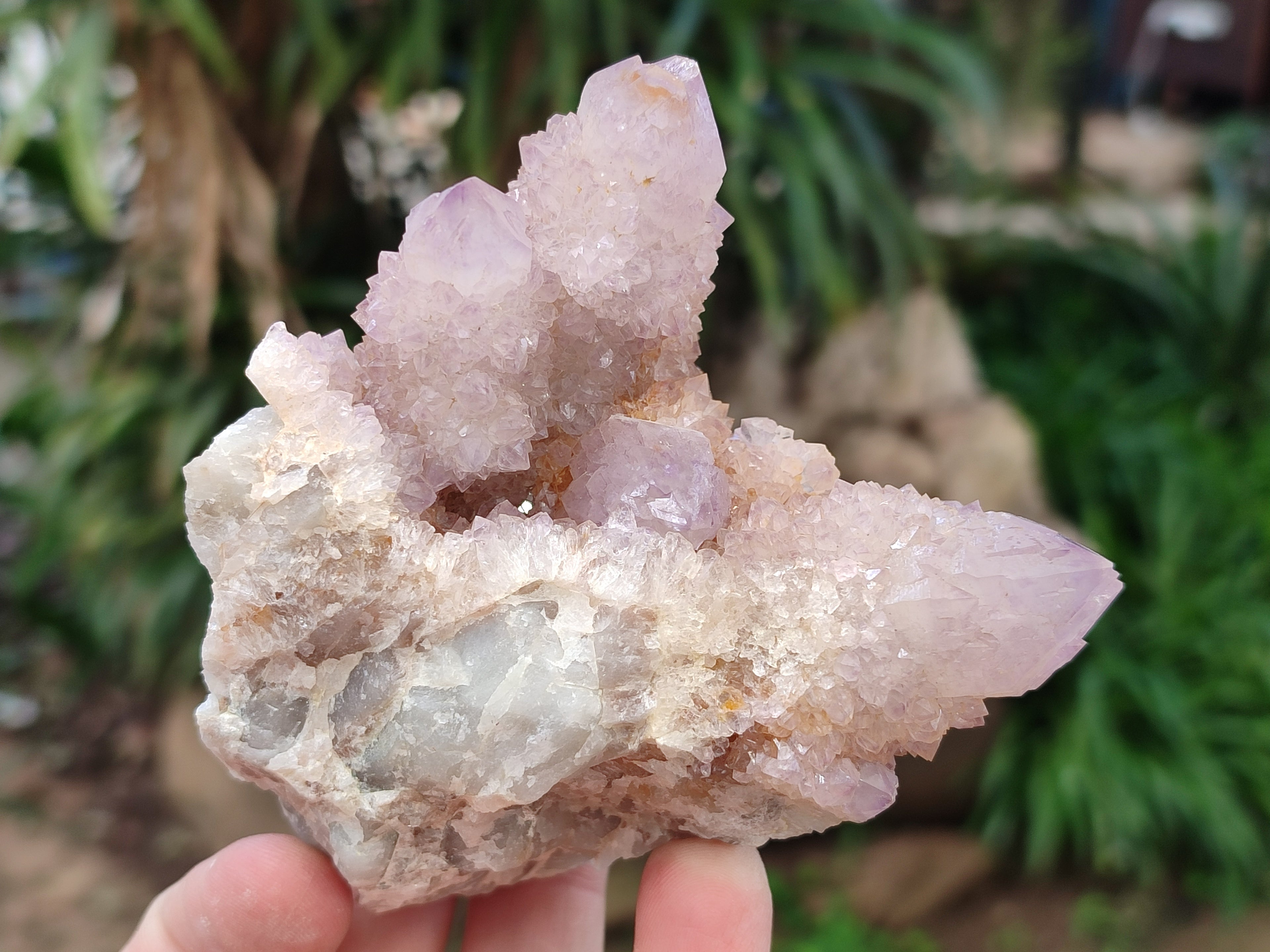 Natural Amethyst Spirit Quartz Clusters x 6 From Boekenhouthoek, South Africa - Toprock Gemstones and Minerals 