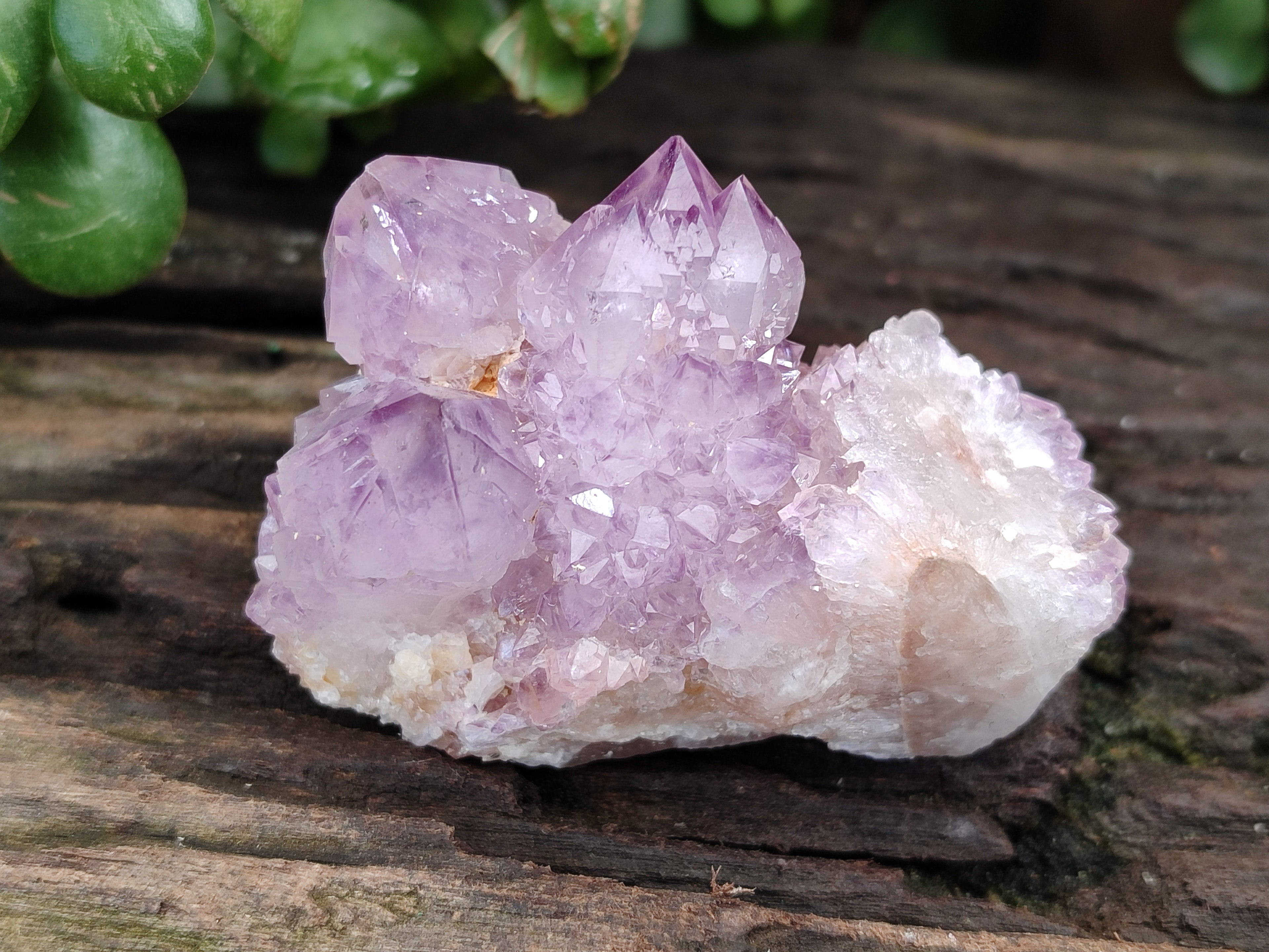 Natural Amethyst Spirit Quartz Clusters x 6 From Boekenhouthoek, South Africa - Toprock Gemstones and Minerals 
