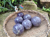 Polished Lepidolite with Pink Rubellite Spheres x 6 From Ambatondrazaka, Madagascar