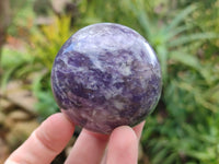 Polished Lepidolite with Pink Rubellite Spheres x 6 From Ambatondrazaka, Madagascar