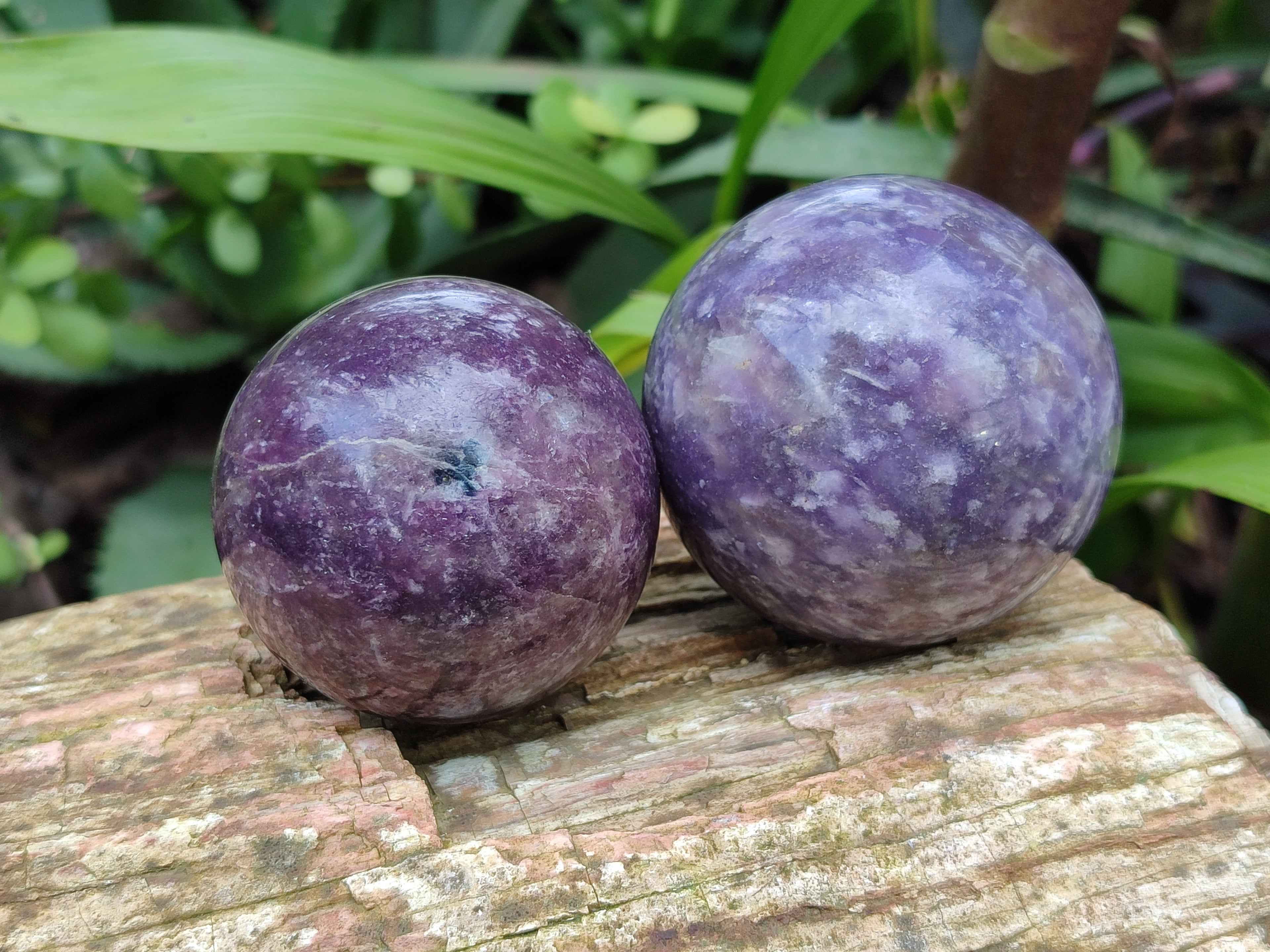 Polished Lepidolite with Pink Rubellite Spheres x 6 From Ambatondrazaka, Madagascar - Toprock Gemstones and Minerals 