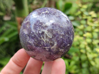 Polished Lepidolite with Pink Rubellite Spheres x 6 From Ambatondrazaka, Madagascar