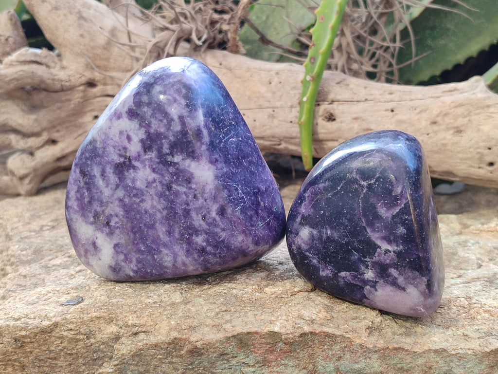 Polished Lepidolite Standing Free Forms x 4 From Zimbabwe - Toprock Gemstones and Minerals 