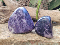 Polished Lepidolite Standing Free Forms x 4 From Zimbabwe