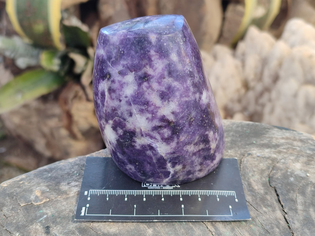 Polished Lepidolite Standing Free Forms x 4 From Zimbabwe - Toprock Gemstones and Minerals 