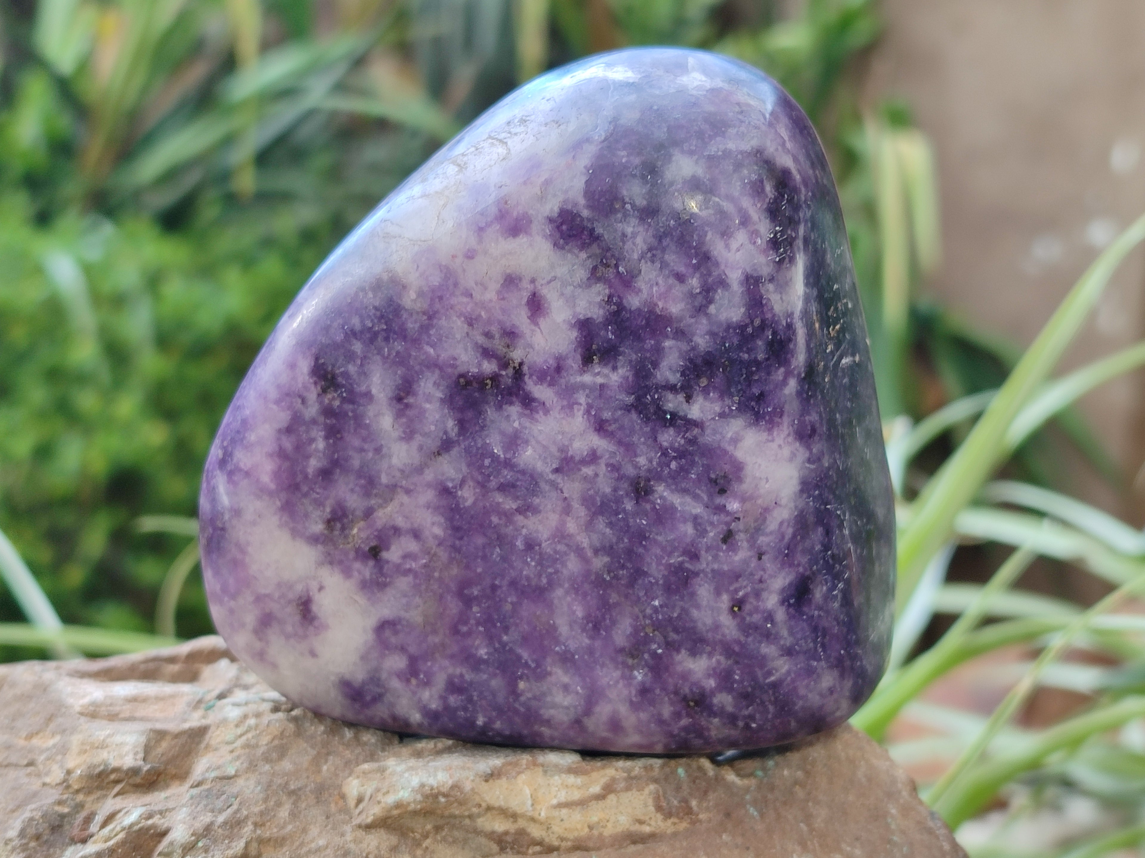Polished Lepidolite Standing Free Forms x 4 From Zimbabwe - Toprock Gemstones and Minerals 
