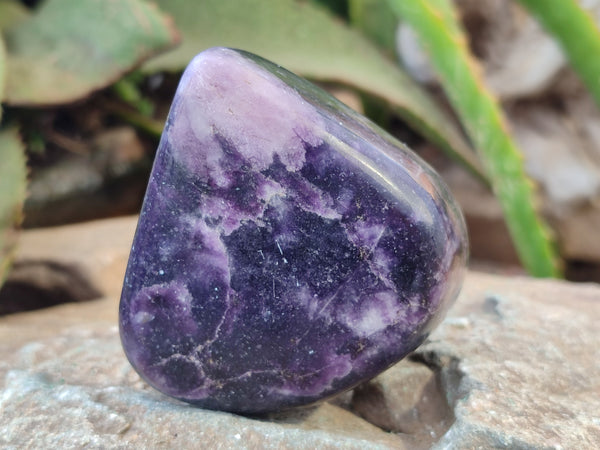 Polished Lepidolite Standing Free Forms x 4 From Zimbabwe