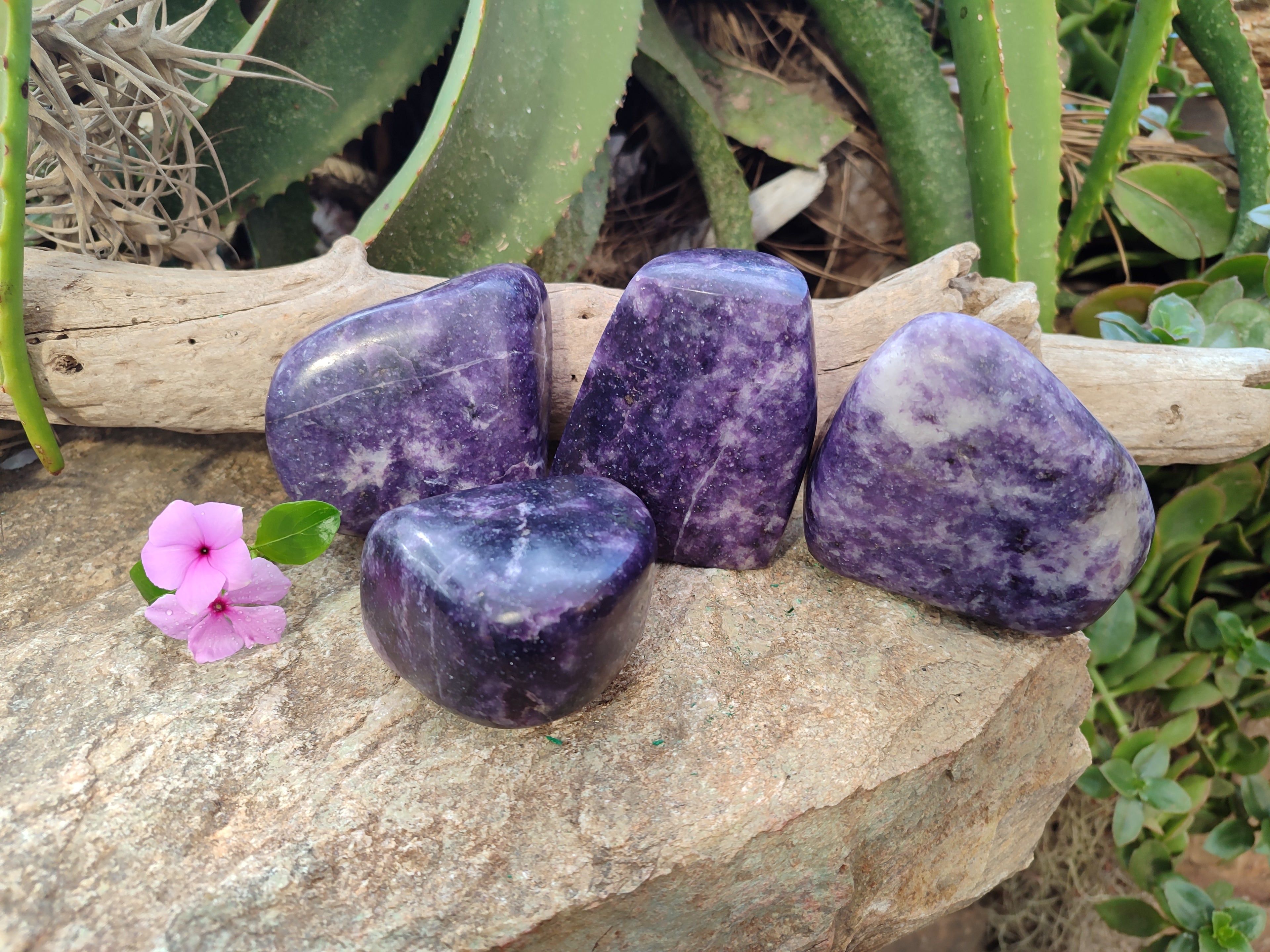 Polished Lepidolite Standing Free Forms x 4 From Zimbabwe - Toprock Gemstones and Minerals 