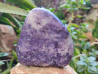 Polished Lepidolite Standing Free Forms x 4 From Zimbabwe