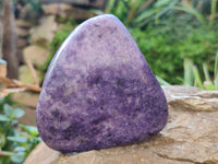 Polished Lepidolite Standing Free Forms x 4 From Zimbabwe