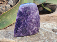 Polished Lepidolite Standing Free Forms x 4 From Zimbabwe