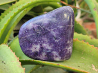 Polished Lepidolite Standing Free Forms x 4 From Zimbabwe