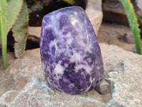 Polished Lepidolite Standing Free Forms x 4 From Zimbabwe