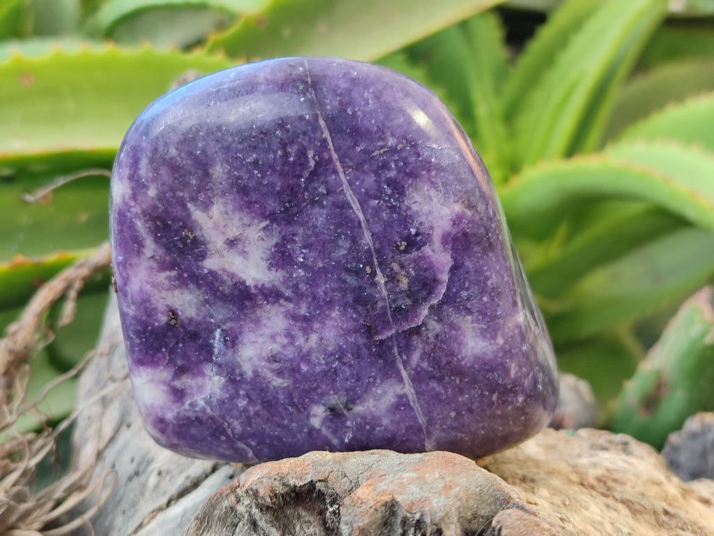 Polished Lepidolite Standing Free Forms x 4 From Zimbabwe - Toprock Gemstones and Minerals 