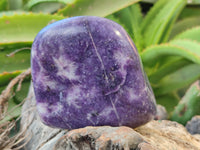 Polished Lepidolite Standing Free Forms x 4 From Zimbabwe