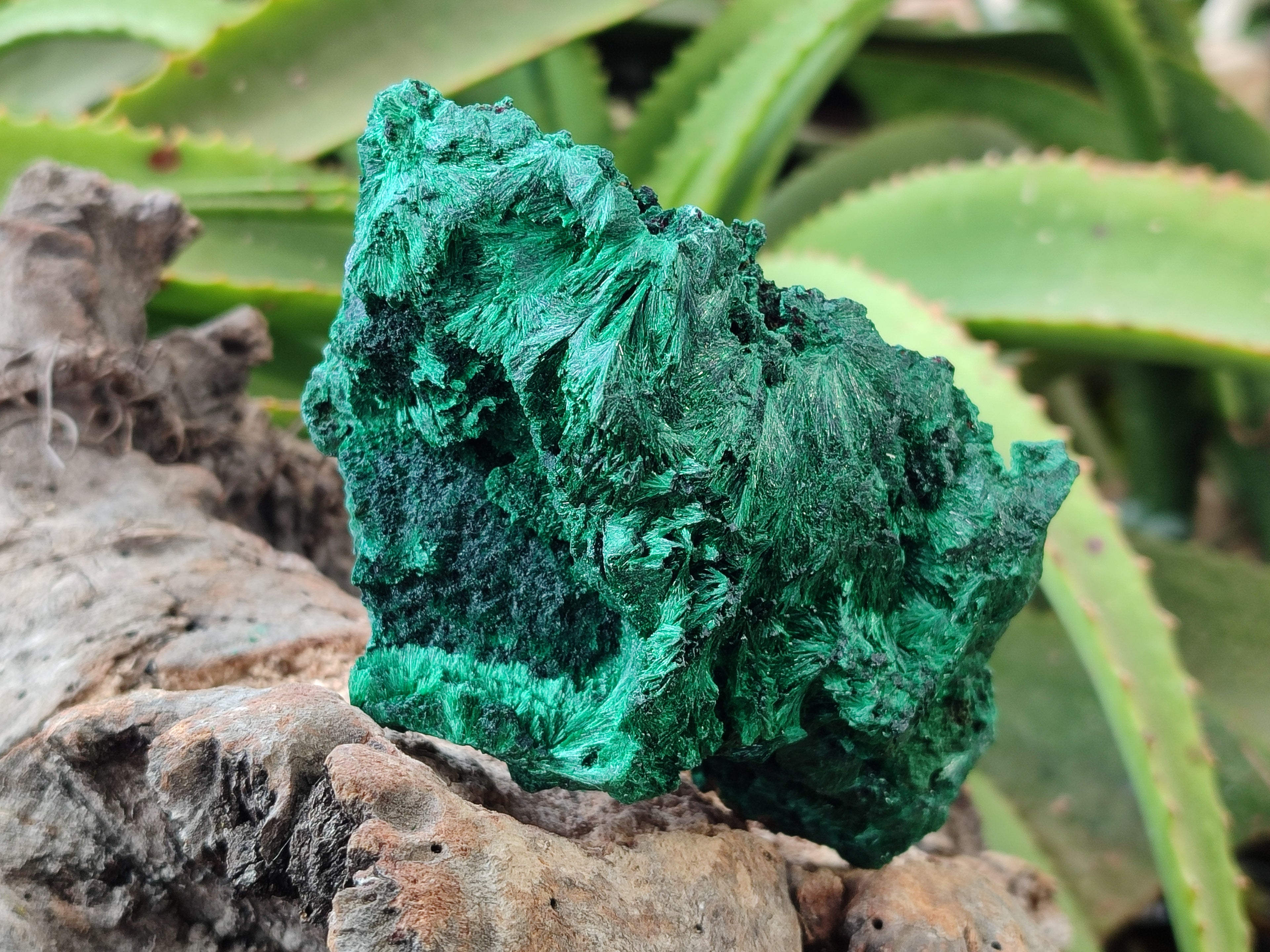 Natural Silky Malachite Specimens x 4 From Kasompe, Congo - Toprock Gemstones and Minerals 
