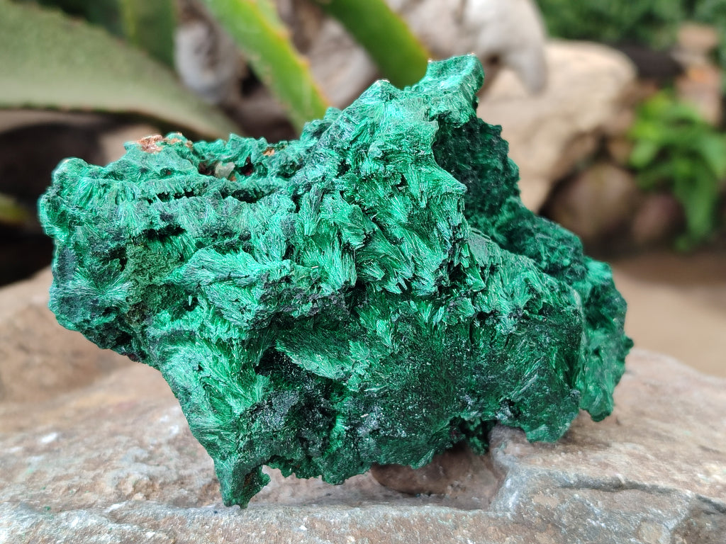 Natural Silky Malachite Specimens x 4 From Kasompe, Congo - Toprock Gemstones and Minerals 