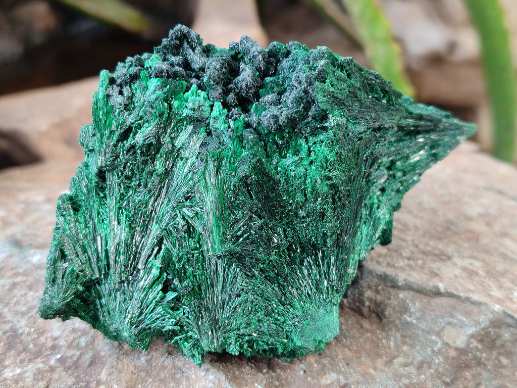Natural Silky Malachite Specimens x 4 From Kasompe, Congo - Toprock Gemstones and Minerals 