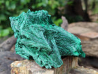 Natural Silky Malachite Specimens x 4 From Kasompe, Congo - Toprock Gemstones and Minerals 
