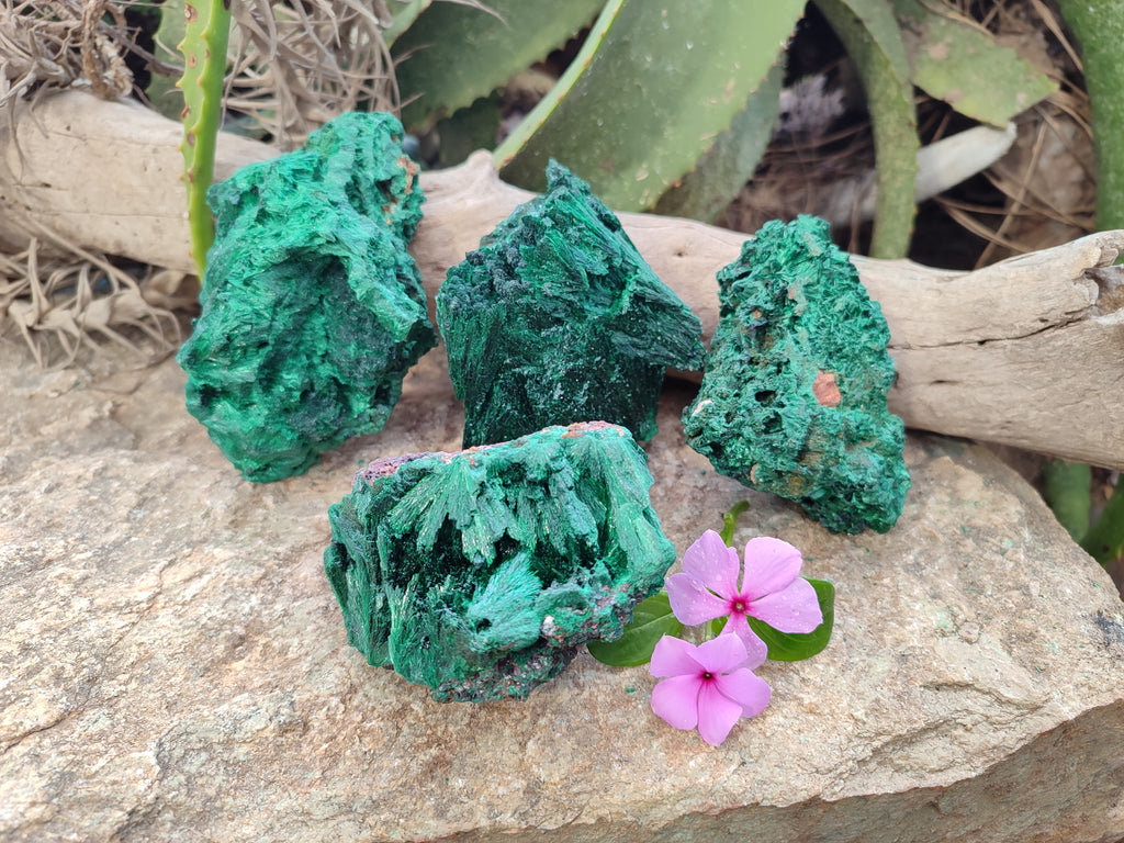 Natural Silky Malachite Specimens x 4 From Kasompe, Congo - Toprock Gemstones and Minerals 
