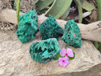 Natural Silky Malachite Specimens x 4 From Kasompe, Congo - Toprock Gemstones and Minerals 