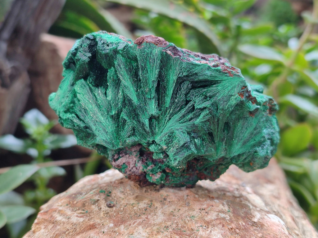 Natural Silky Malachite Specimens x 4 From Kasompe, Congo - Toprock Gemstones and Minerals 