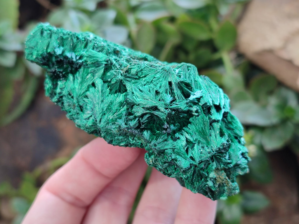 Natural Silky Malachite Specimens x 4 From Kasompe, Congo - Toprock Gemstones and Minerals 