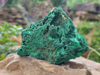 Natural Silky Malachite Specimens x 4 From Kasompe, Congo - Toprock Gemstones and Minerals 