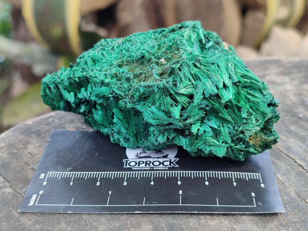 Natural Silky Malachite Specimens x 4 From Kasompe, Congo - Toprock Gemstones and Minerals 