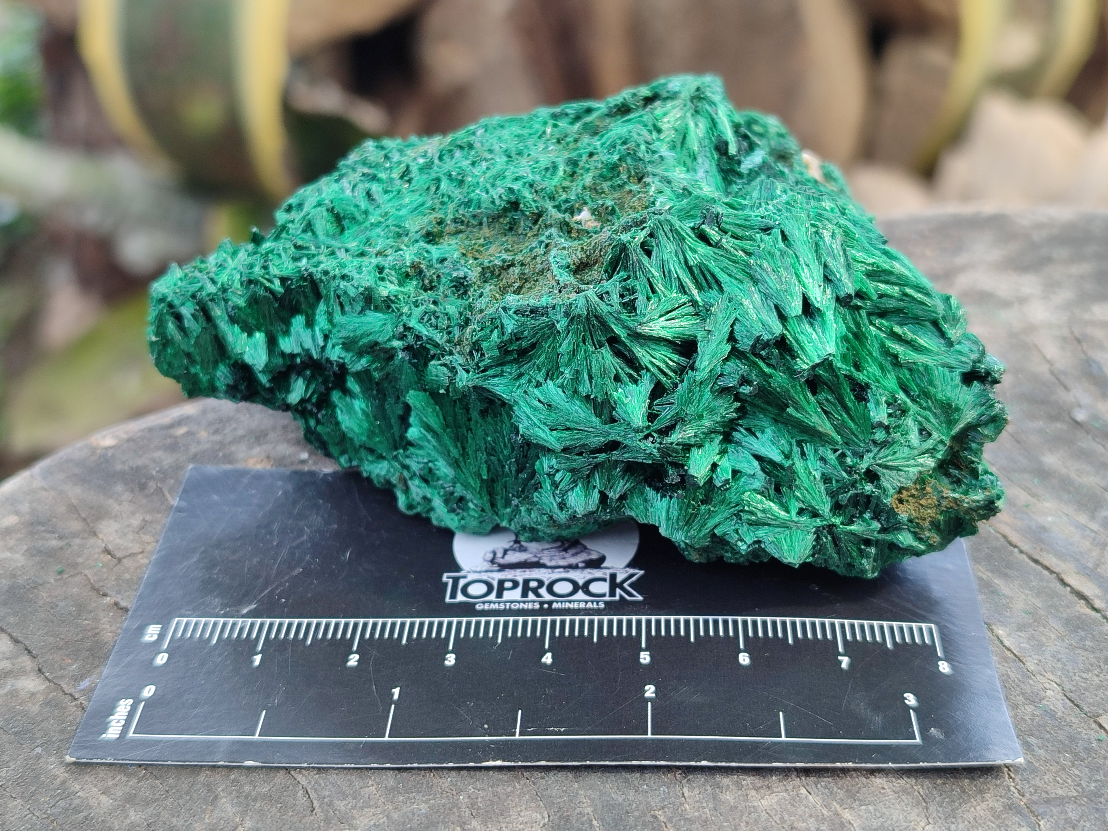 Natural Silky Malachite Specimens x 4 From Kasompe, Congo - Toprock Gemstones and Minerals 