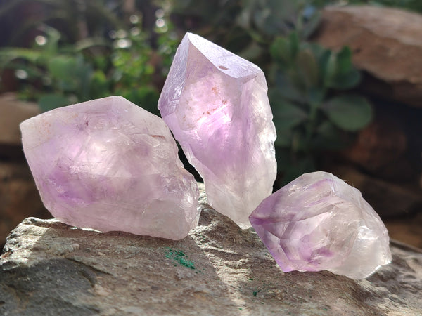Natural Jacaranda Amethyst Single Quartz Crystals x 24 From Mumbwa, Zambia