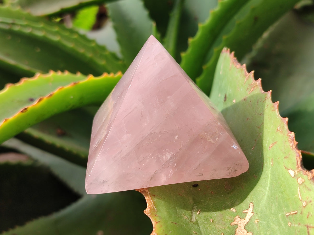 Polished Rose Quartz Pyramids x 6 From Ambatondrazaka, Madagascar - Toprock Gemstones and Minerals 