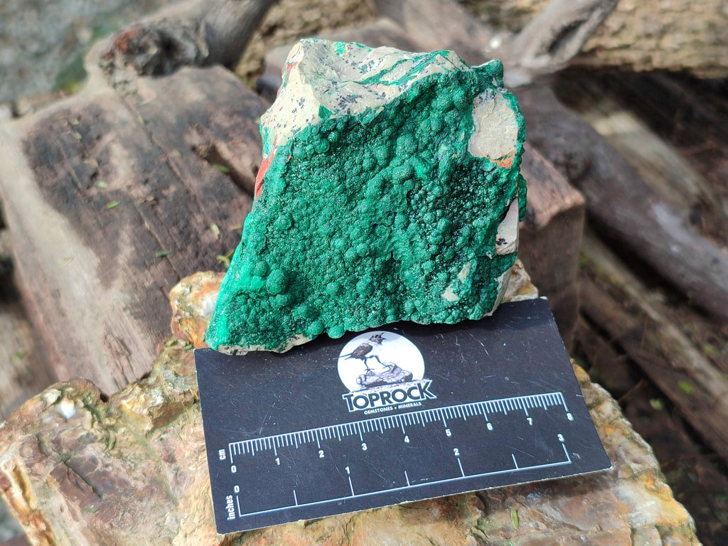 Natural Crystalline Malachite Specimens x 6 From Tenke Fungurume, Congo - Toprock Gemstones and Minerals 