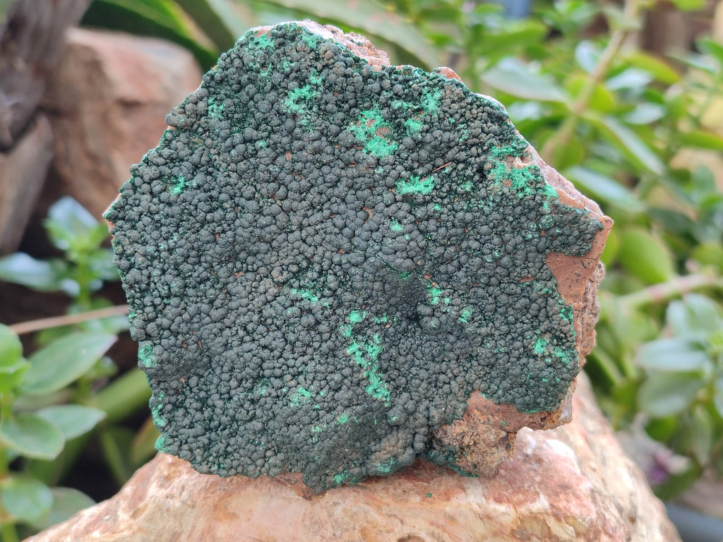 Natural Crystalline Malachite Specimens x 6 From Tenke Fungurume, Congo - Toprock Gemstones and Minerals 