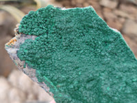 Natural Crystalline Malachite Specimens x 6 From Tenke Fungurume, Congo - Toprock Gemstones and Minerals 