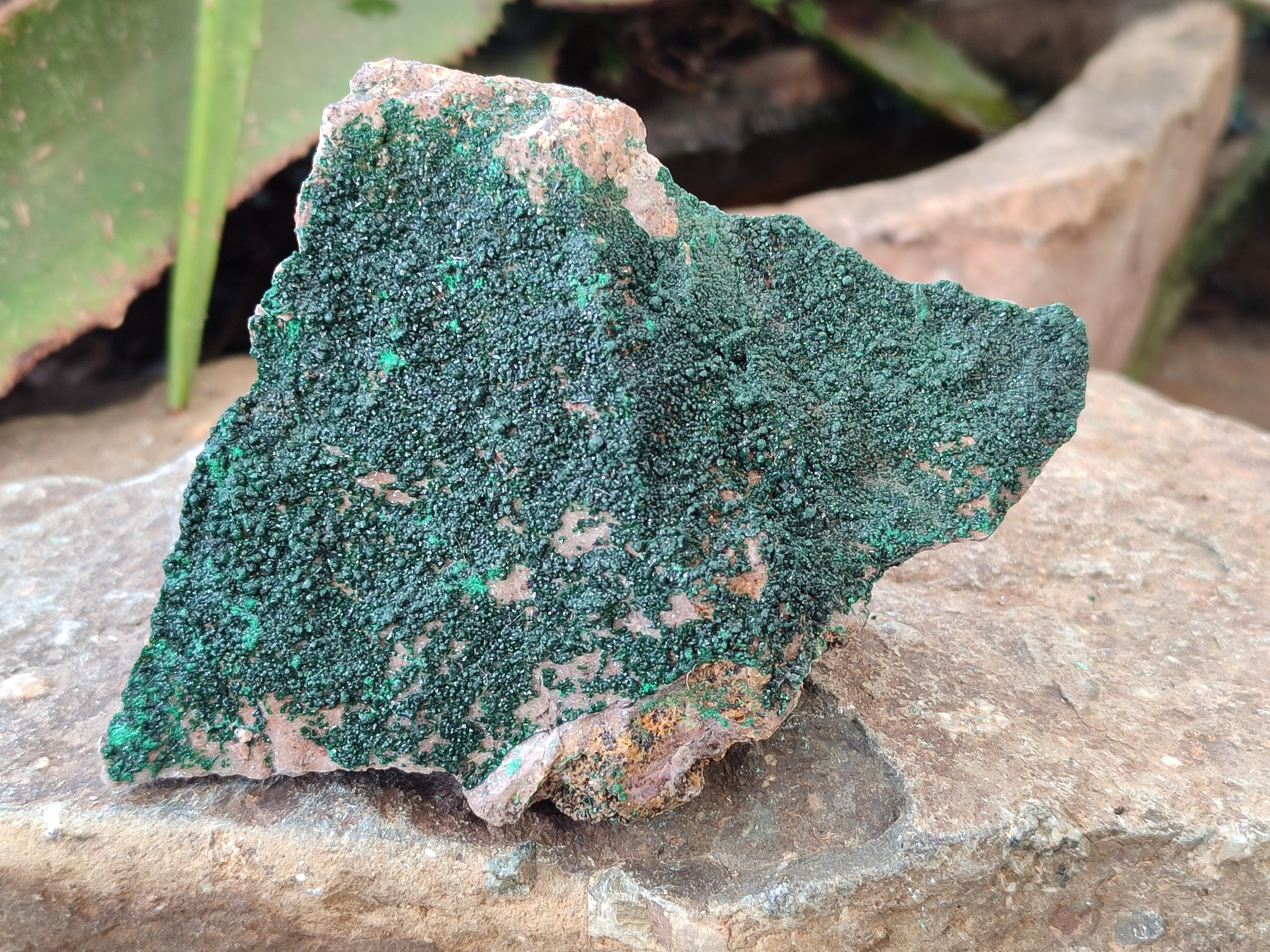 Natural Crystalline Malachite Specimens x 6 From Tenke Fungurume, Congo - Toprock Gemstones and Minerals 