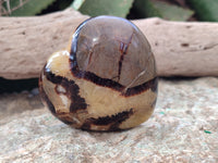 Polished Septerye Hearts x 6 From Mahajanga, Madagascar