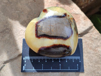 Polished Septerye Hearts x 6 From Mahajanga, Madagascar