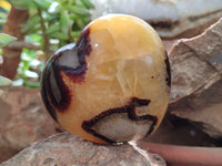 Polished Septerye Hearts x 6 From Mahajanga, Madagascar
