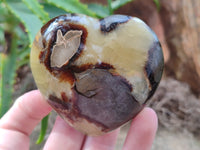 Polished Septerye Hearts x 6 From Mahajanga, Madagascar